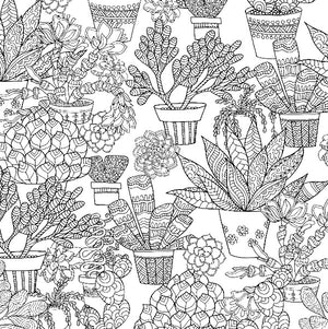 Succulents Artist's Coloring Book