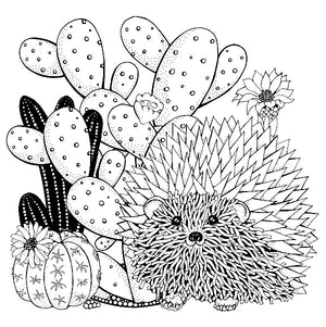 Succulents Artist's Coloring Book