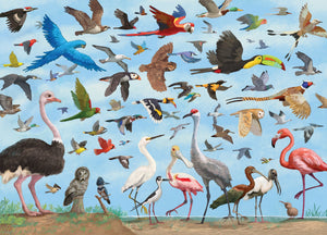 All the Birds Jigsaw Puzzle