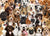 All the Dogs Jigsaw Puzzle