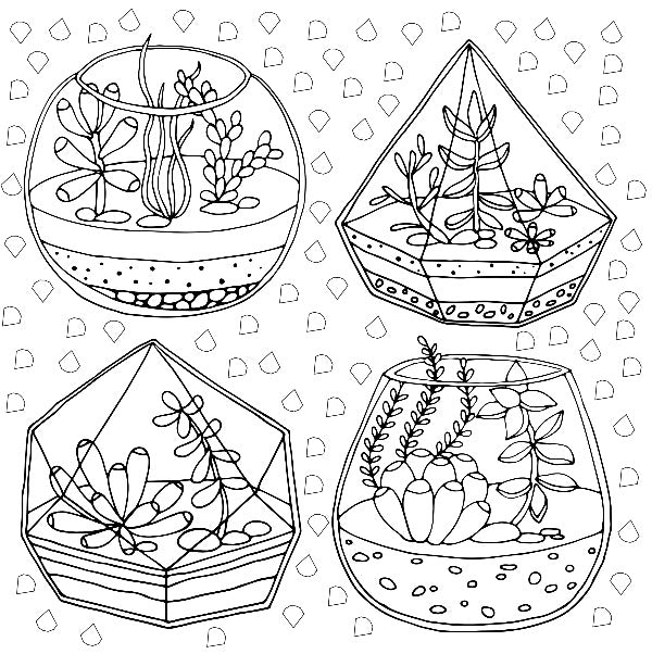 Succulents Artist's Coloring Book