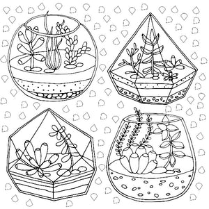 Succulents Artist's Coloring Book